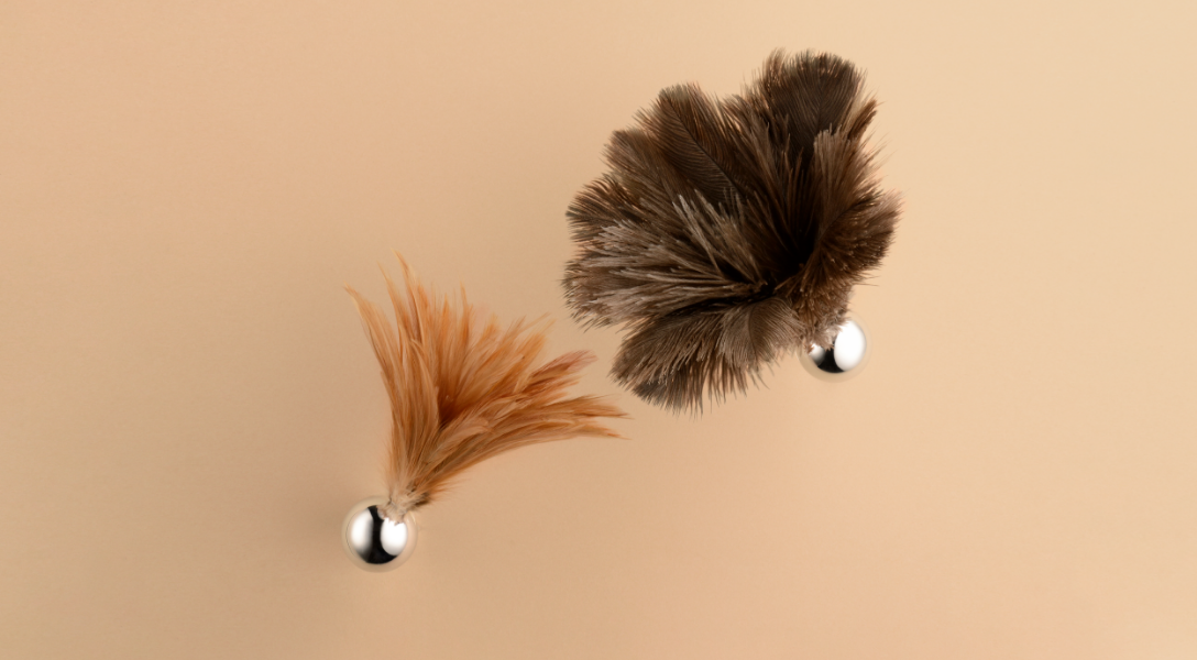 Feather Broom