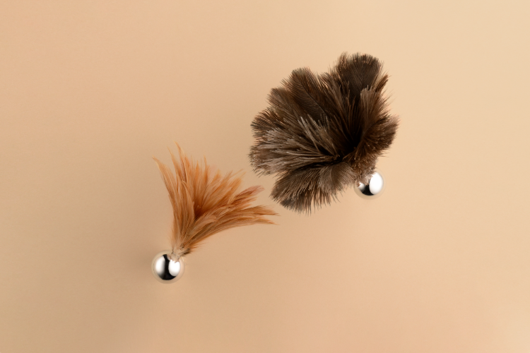 Feather Broom